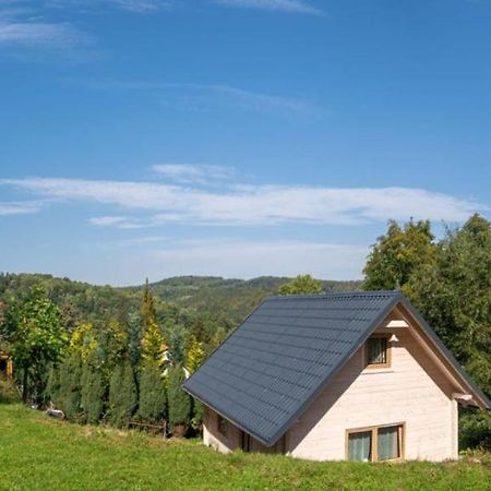Domek Na Lesnym Wzgorzu Pieszyce Exteriér fotografie