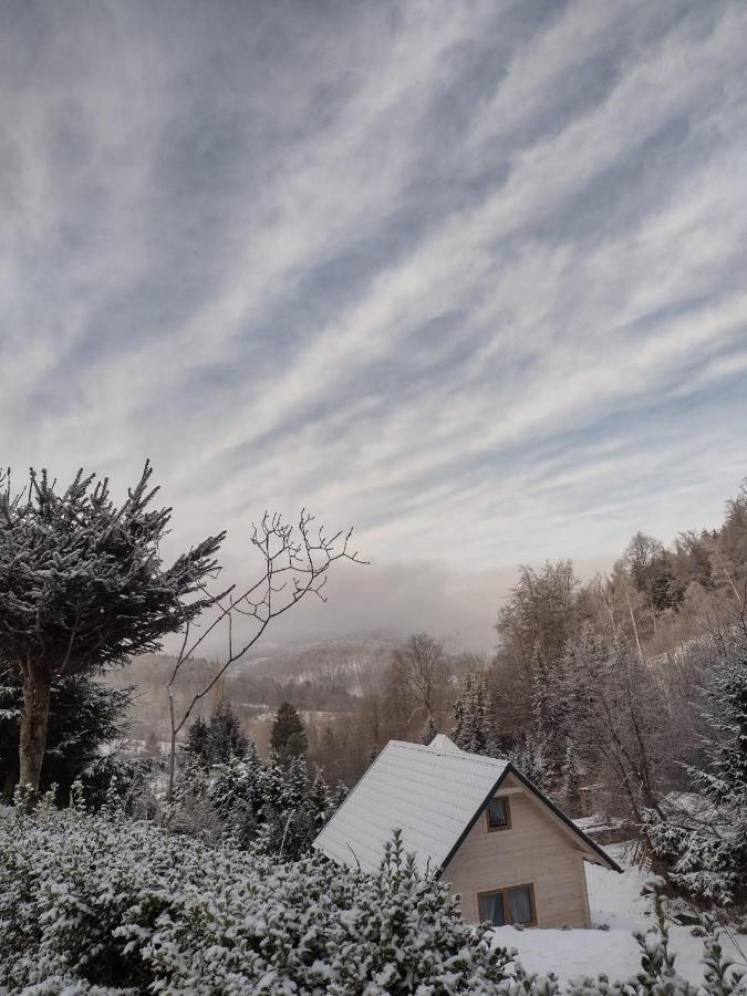 Domek Na Lesnym Wzgorzu Pieszyce Exteriér fotografie